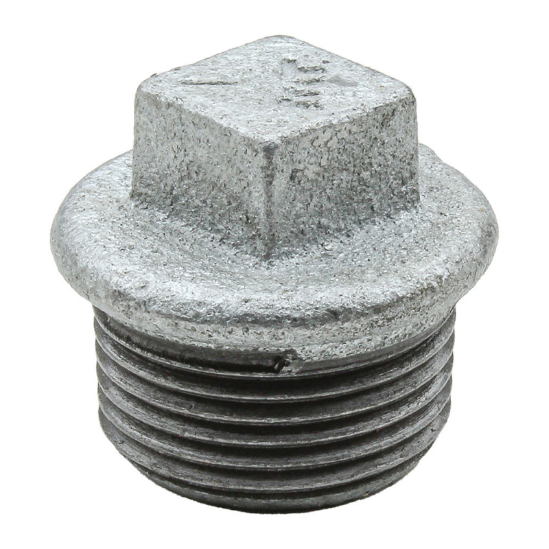 Bouchon galvanisé mâle 2" Bouchon galvanisé mâle 2"