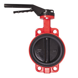 Vanne papillon DN100 revêtue rilsan PN10
