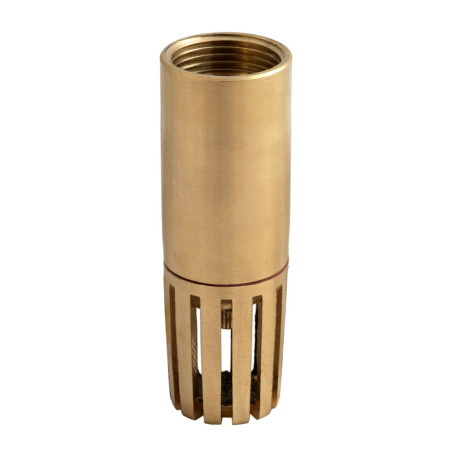 Clapet crépine tubulaire 11/4" PN10