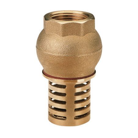 Clapet crépine laiton 3/4" PN10