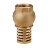 Clapet crépine laiton 3/4" PN10