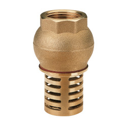 Clapet crépine laiton 1" PN10