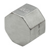 Bouchon Inox femelle